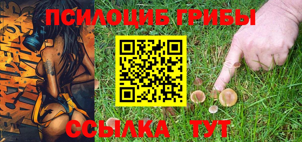 Галлюциногенные грибы Cubensis  Вход с VPN  Галлюциногенные грибы Psilocybine cubensis  Кумертау 